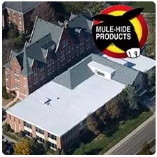 Mule Hide